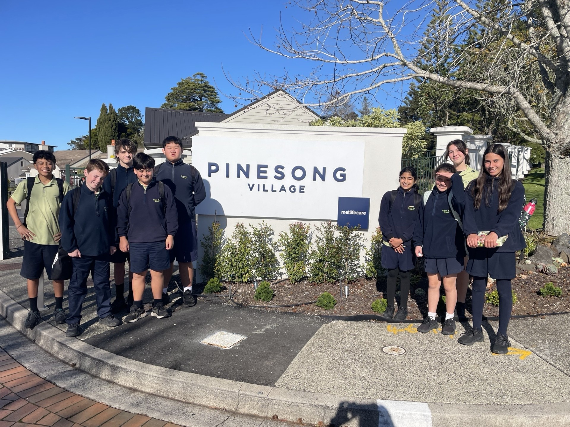 Pinesong Pinesong